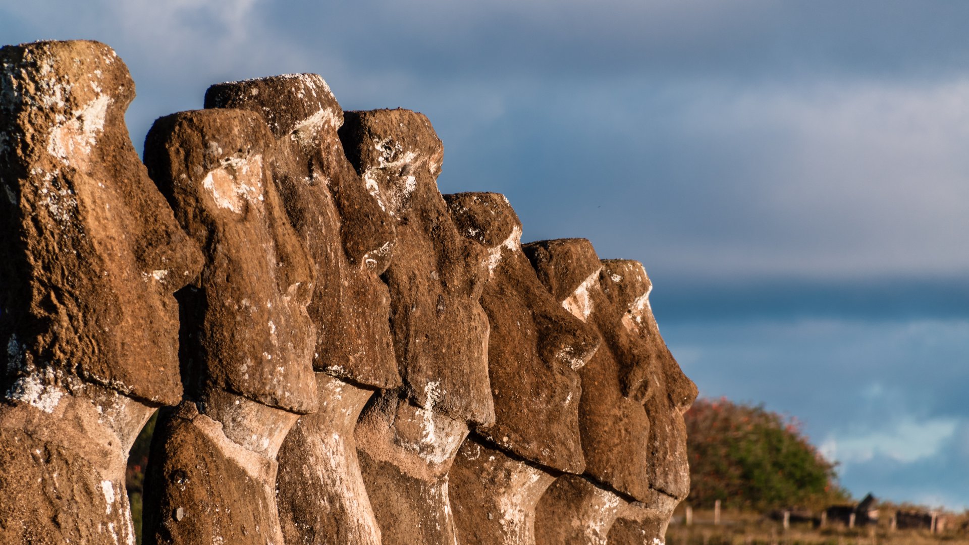 banner5_rapanui